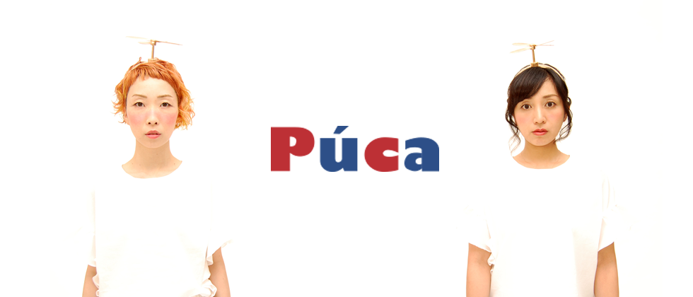 Puca